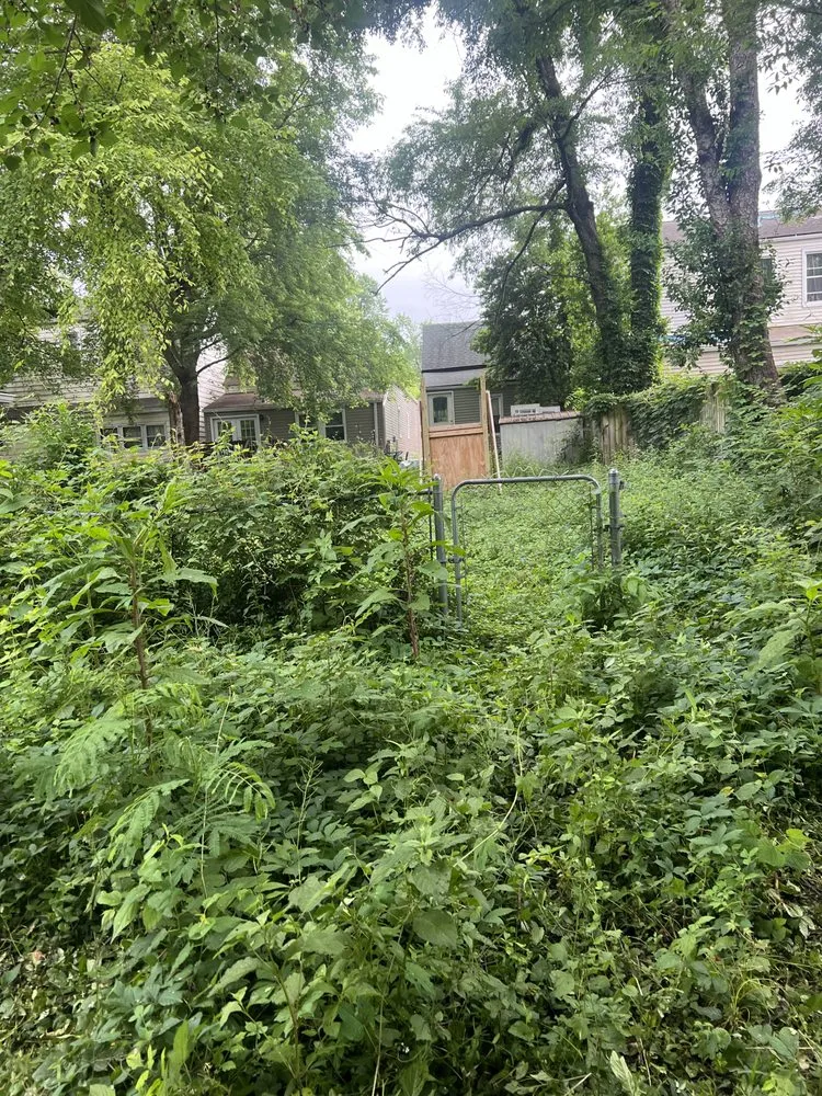 Affordable garden landscaping for residential properties in Louisville, KY by Pro Mow Lawn Care