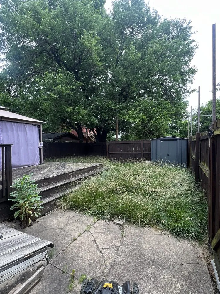Affordable yard cleanup service in Louisville, KY - Pro Mow Lawn Care