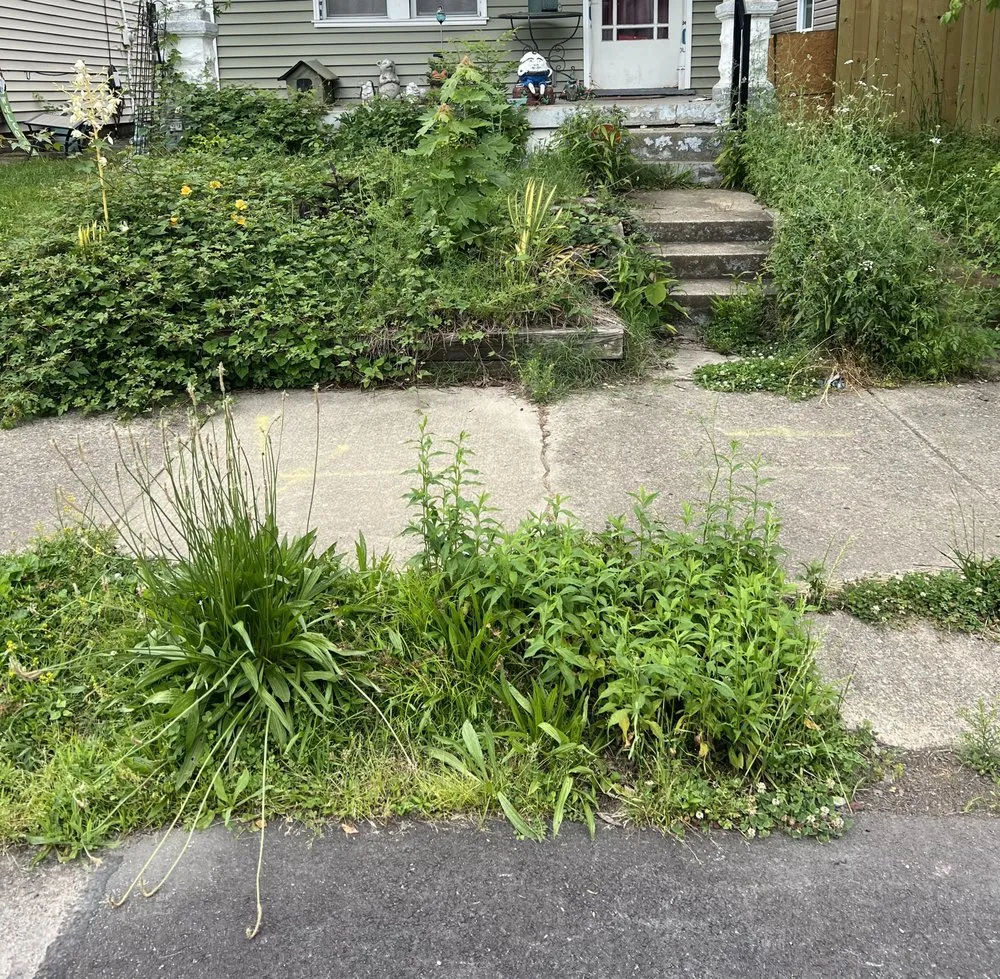 Affordable landscaping services near you in Louisville, KY by Pro Mow Lawn Care