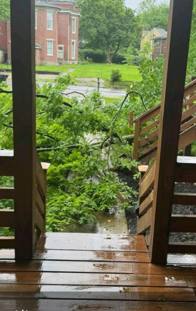 Top-rated lawn mowing service in Louisville, KY - Pro Mow Lawn Care