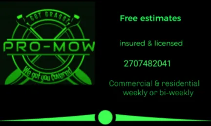 PRO MOW Logo