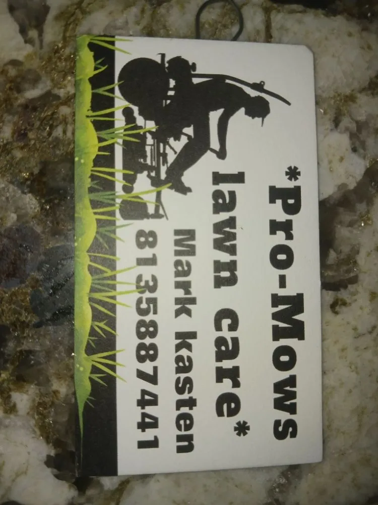 Professional garden landscaping near you in Tampa, FL by Pro Mows