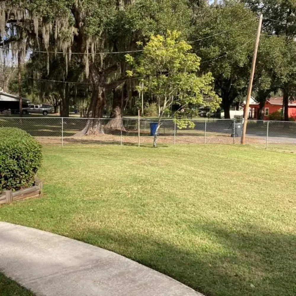 Top-rated residential landscaping for outdoor upgrades in Tampa, FL by Pro Mows