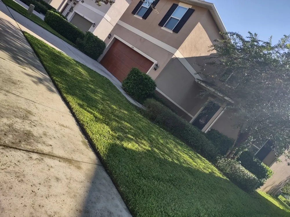 Affordable yard cleanup service in Tampa, FL by Pro Mows