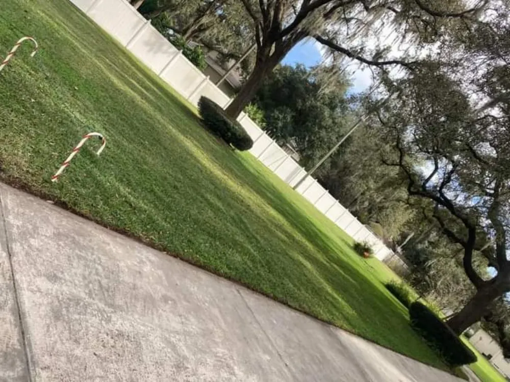 Reliable landscape design for homes across Tampa, FL - Pro Mows