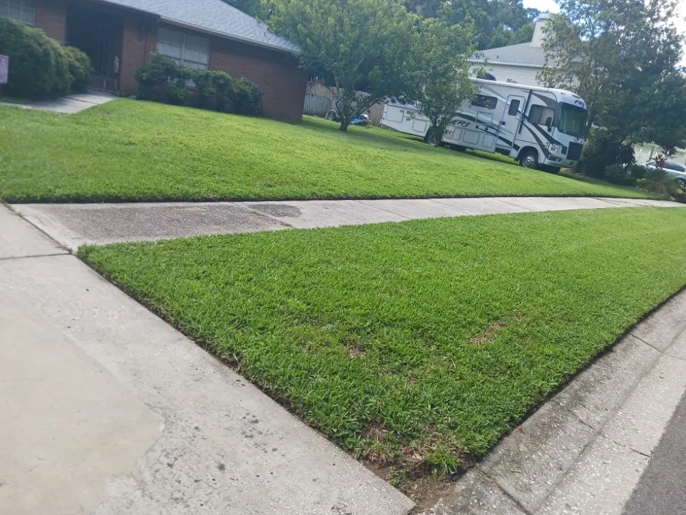 Top-rated landscape design in Tampa, FL - Pro Mows