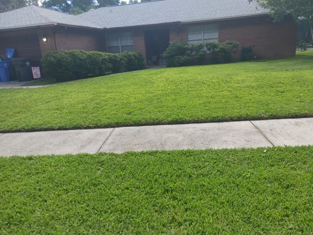 Expert landscaping services experts serving Tampa, FL - Pro Mows