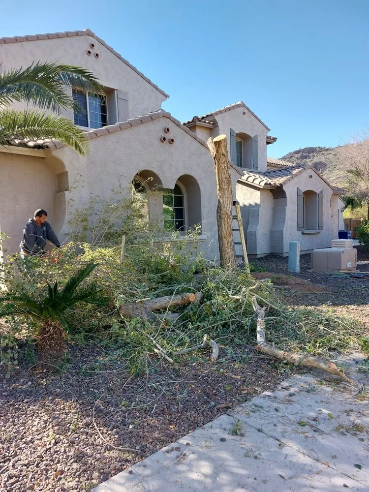 Local lawn mowing service in El Mirage, AZ by Pro Natural Landscape