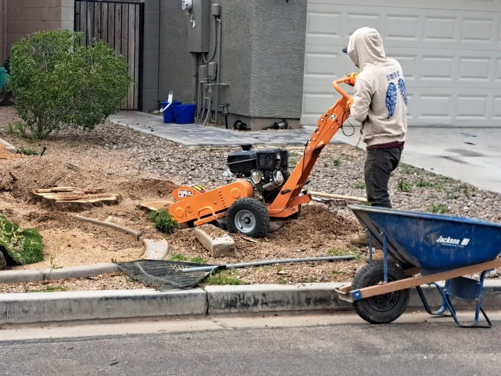 Expert lawn mowing service experts serving El Mirage, AZ - Pro Natural Landscape