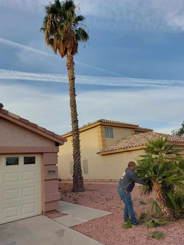 Affordable residential landscaping in El Mirage, AZ - Pro Natural Landscape