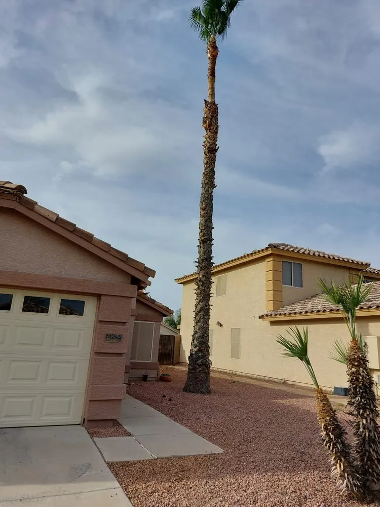 Top-rated lawn care service in El Mirage, AZ by Pro Natural Landscape