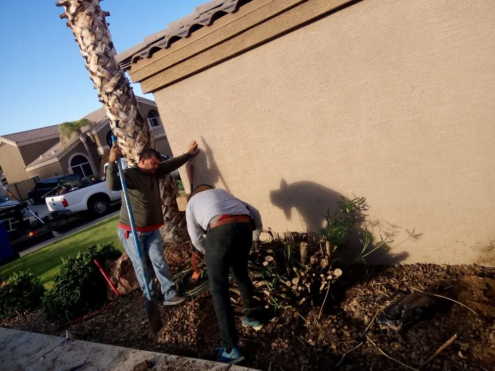 Reliable garden landscaping for outdoor upgrades across El Mirage, AZ - Pro Natural Landscape