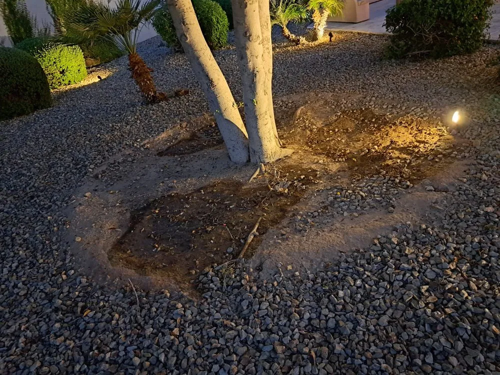 Top-rated garden landscaping for homes across El Mirage, AZ - Pro Natural Landscape