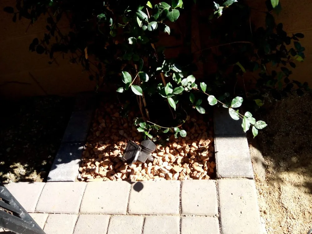 Trusted landscaping services for year-round maintenance across El Mirage, AZ - Pro Natural Landscape