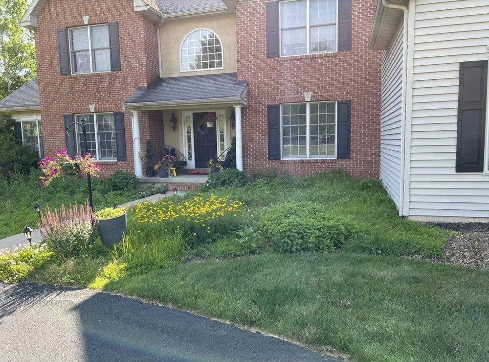 Affordable yard cleanup service experts serving Warminster, PA - Pro Paradise landscaping