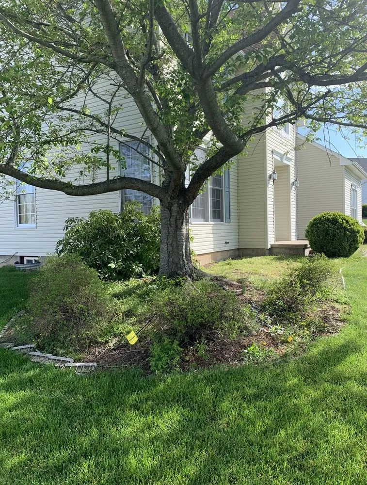 Local yard maintenance with custom design in Warminster, PA by Pro Paradise landscaping