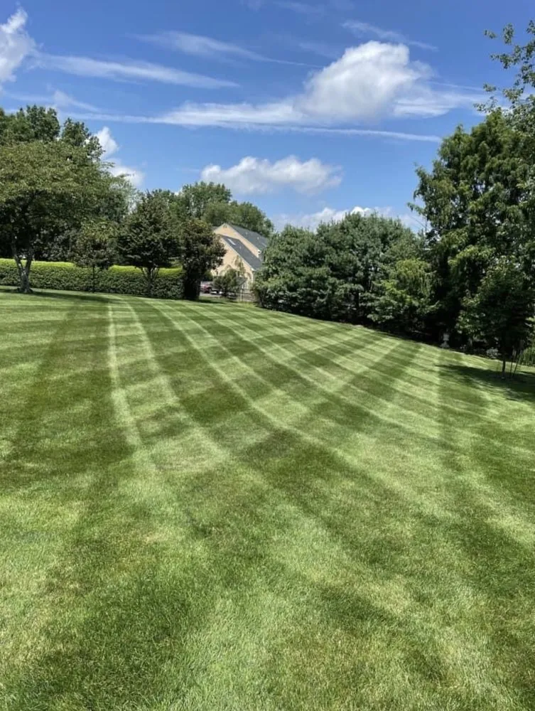 Trusted garden landscaping for homes across Warminster, PA - Pro Paradise landscaping