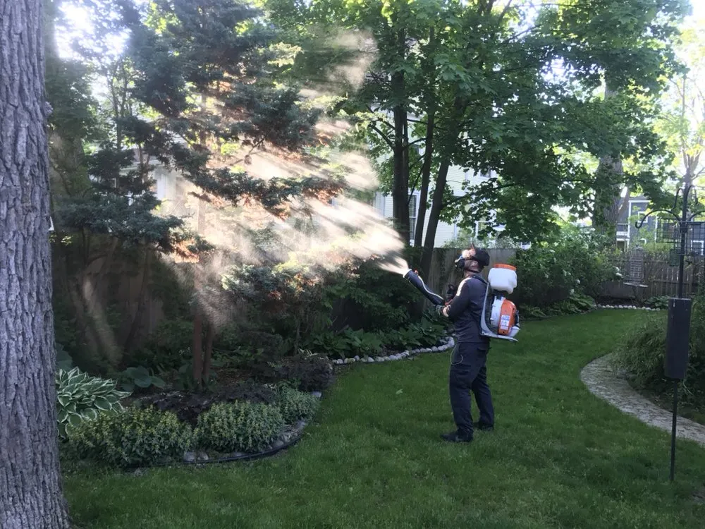 Reliable lawn mowing service in Cadillac, MI by Pro Pest And Turf Solutions