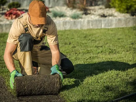 Affordable landscape installation in Montague, TX - Pro Plants Landscaping