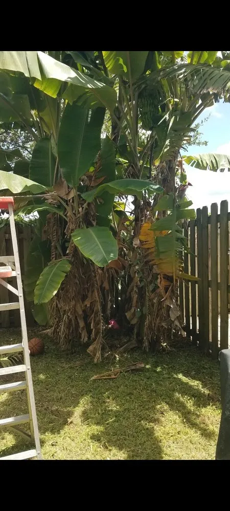 Custom landscape design in Homestead, FL - Pro Plus Cuts Lawn Service