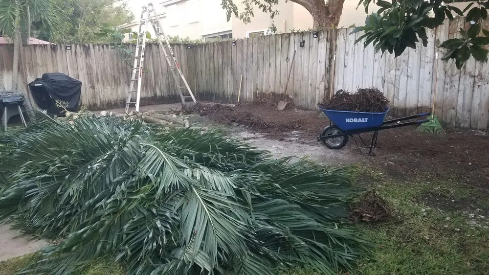 Trusted landscape installation near you in Homestead, FL by Pro Plus Cuts Lawn Service