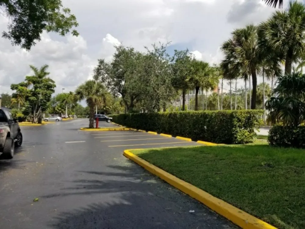 Expert lawn care service in Homestead, FL by Pro Plus Cuts Lawn Service