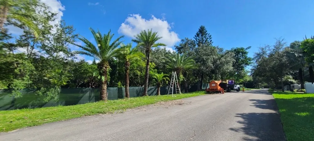 Top-rated outdoor landscaping for outdoor upgrades in Homestead, FL by Pro Plus Cuts Lawn Service