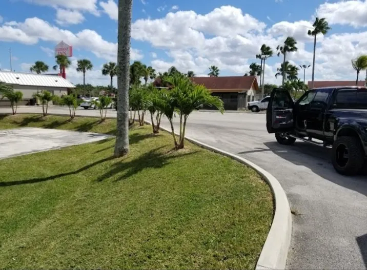 Trusted outdoor landscaping experts serving Homestead, FL - Pro Plus Cuts Lawn Service