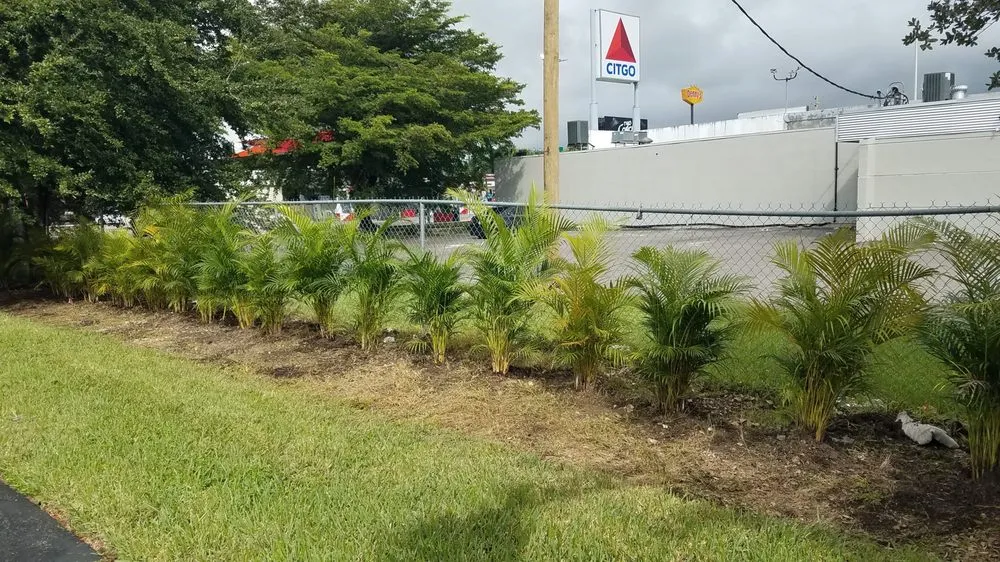 Local residential landscaping for beautiful yards across Homestead, FL - Pro Plus Cuts Lawn Service