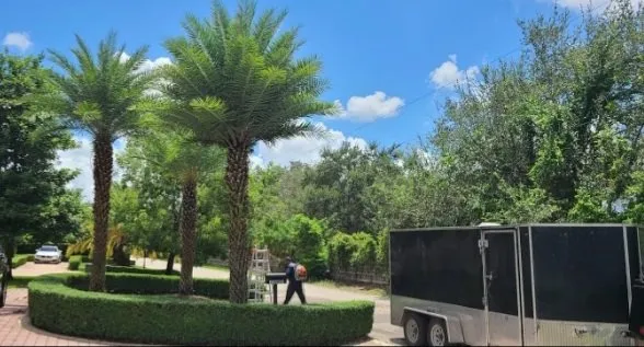 Expert lawn mowing service in Homestead, FL by Pro Plus Cuts Lawn Service