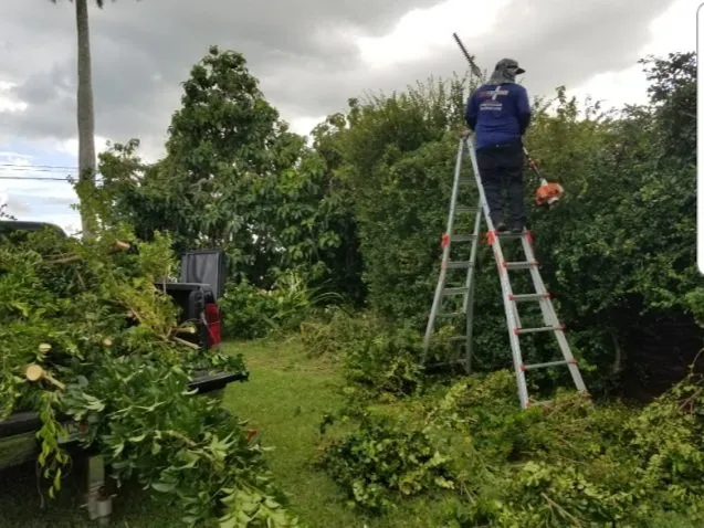 Trusted outdoor landscaping near you in Homestead, FL by Pro Plus Cuts Lawn Service