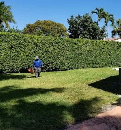 Local residential landscaping in Homestead, FL - Pro Plus Cuts Lawn Service