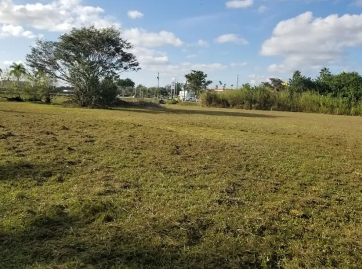 Local landscape installation experts serving Homestead, FL - Pro Plus Cuts Lawn Service