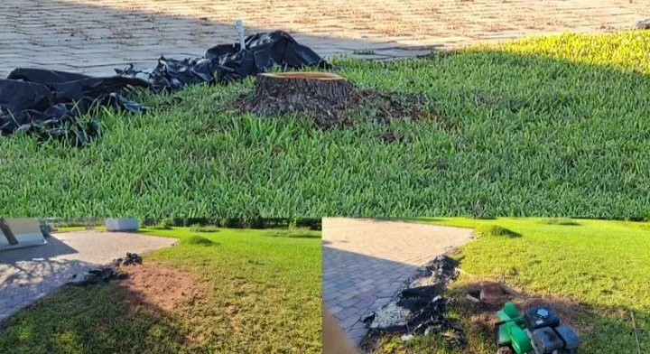 Reliable outdoor landscaping in Homestead, FL - Pro Plus Cuts Lawn Service