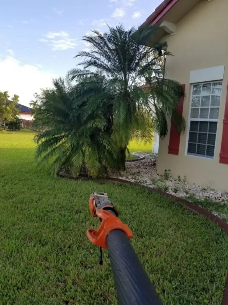 Top-rated landscape installation for homes in Homestead, FL by Pro Plus Cuts Lawn Service