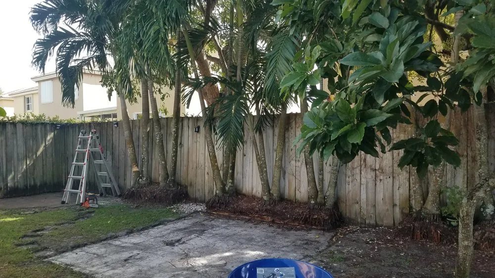 Affordable landscaping services in Homestead, FL by Pro Plus Cuts Lawn Service