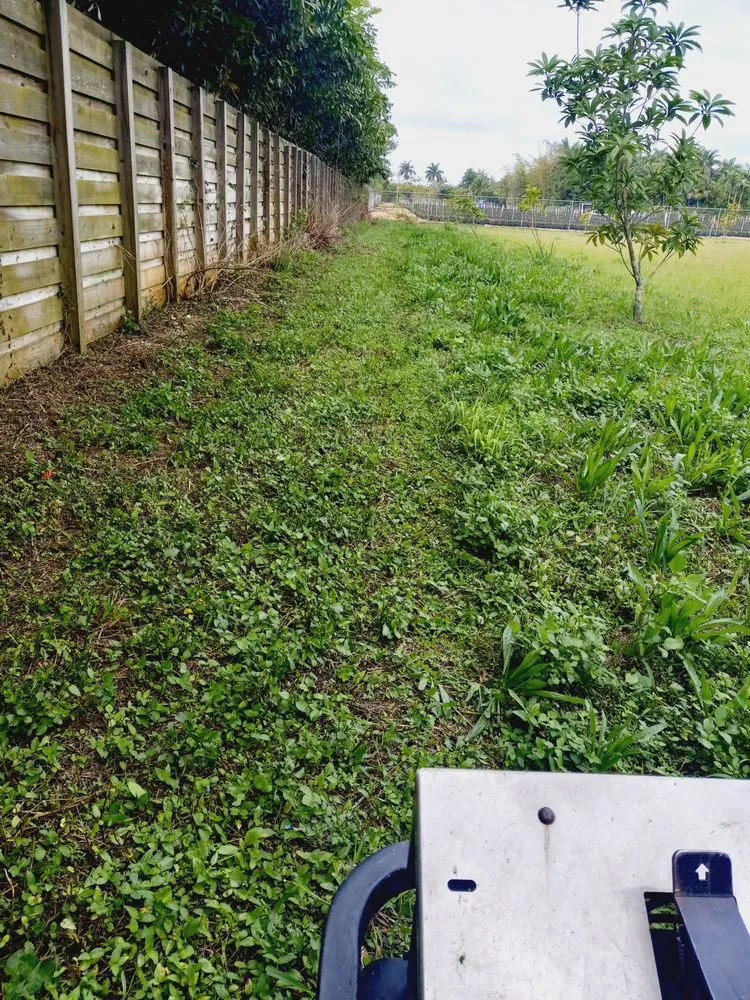 Trusted yard maintenance for year-round maintenance in Homestead, FL by Pro Plus Cuts Lawn Service