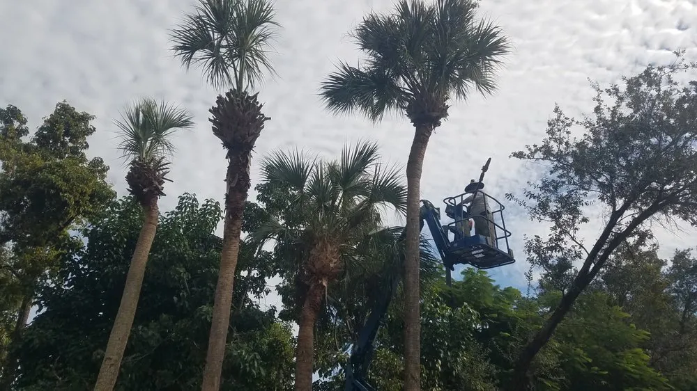 Affordable landscaping services for beautiful yards in Homestead, FL by Pro Plus Cuts Lawn Service