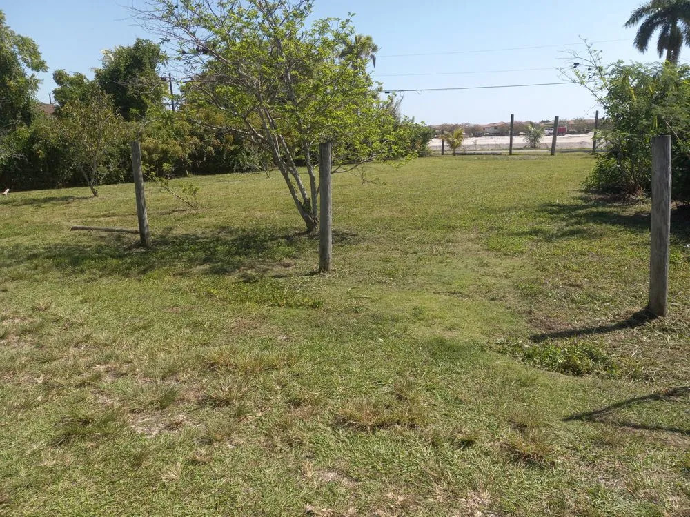 Local garden landscaping in Homestead, FL by Pro Plus Cuts Lawn Service