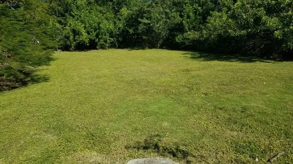 Pro Plus Cuts Lawn Service Logo