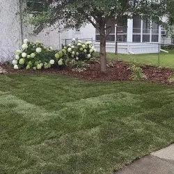 Reliable lawn care service experts serving South Saint Paul, MN - Pro Point Outdoor Services