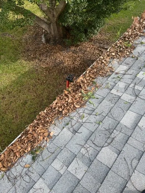 Trusted lawn care service with custom design across Plant City, FL - Pro Pressure Washing & Mowing