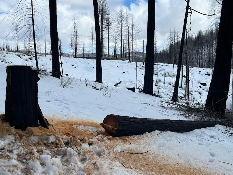 Custom landscape design with custom design in Shingle Springs, CA by Pro Properties Cleaning & Services