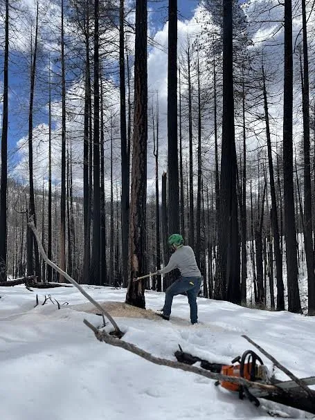 Expert landscape design in Shingle Springs, CA by Pro Properties Cleaning & Services