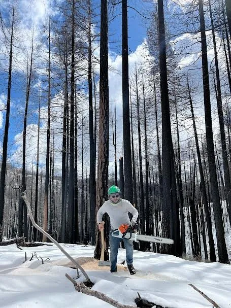 Custom yard cleanup service in Shingle Springs, CA by Pro Properties Cleaning & Services