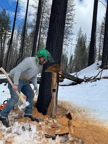 Expert garden landscaping for outdoor upgrades across Shingle Springs, CA - Pro Properties Cleaning & Services