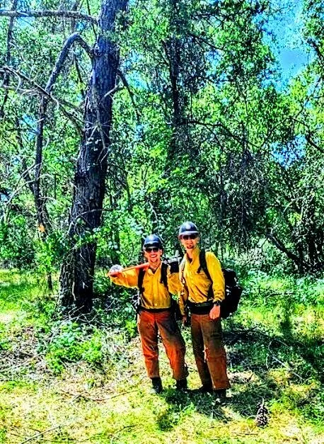 Local yard maintenance in Shingle Springs, CA - Pro Properties Cleaning & Services