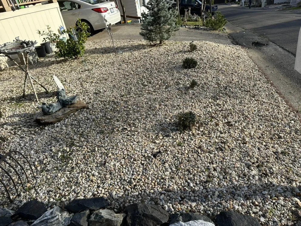 Trusted lawn care service in Shingle Springs, CA - Pro Properties Cleaning & Services