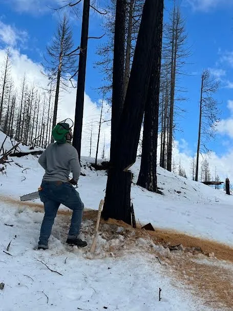 Expert outdoor landscaping for beautiful yards in Shingle Springs, CA by Pro Properties Cleaning & Services