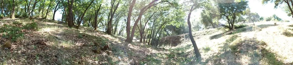 Trusted yard cleanup service in Shingle Springs, CA - Pro Properties Cleaning & Services